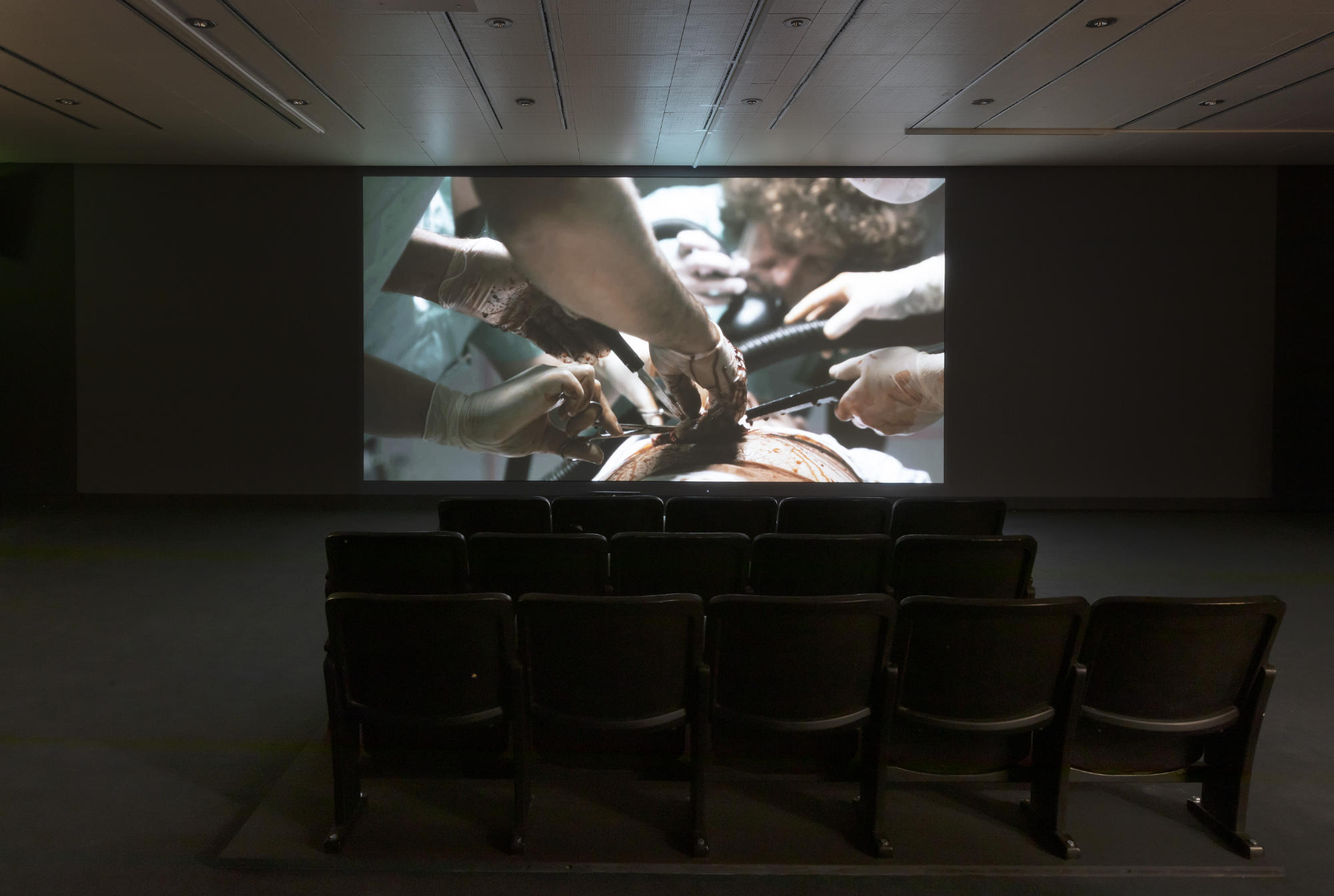 Lebt und arbeitet in Wien at Kunsthalle Wien