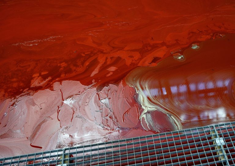 Mire Lee, Exhibition, Secession, Wien, Vienna