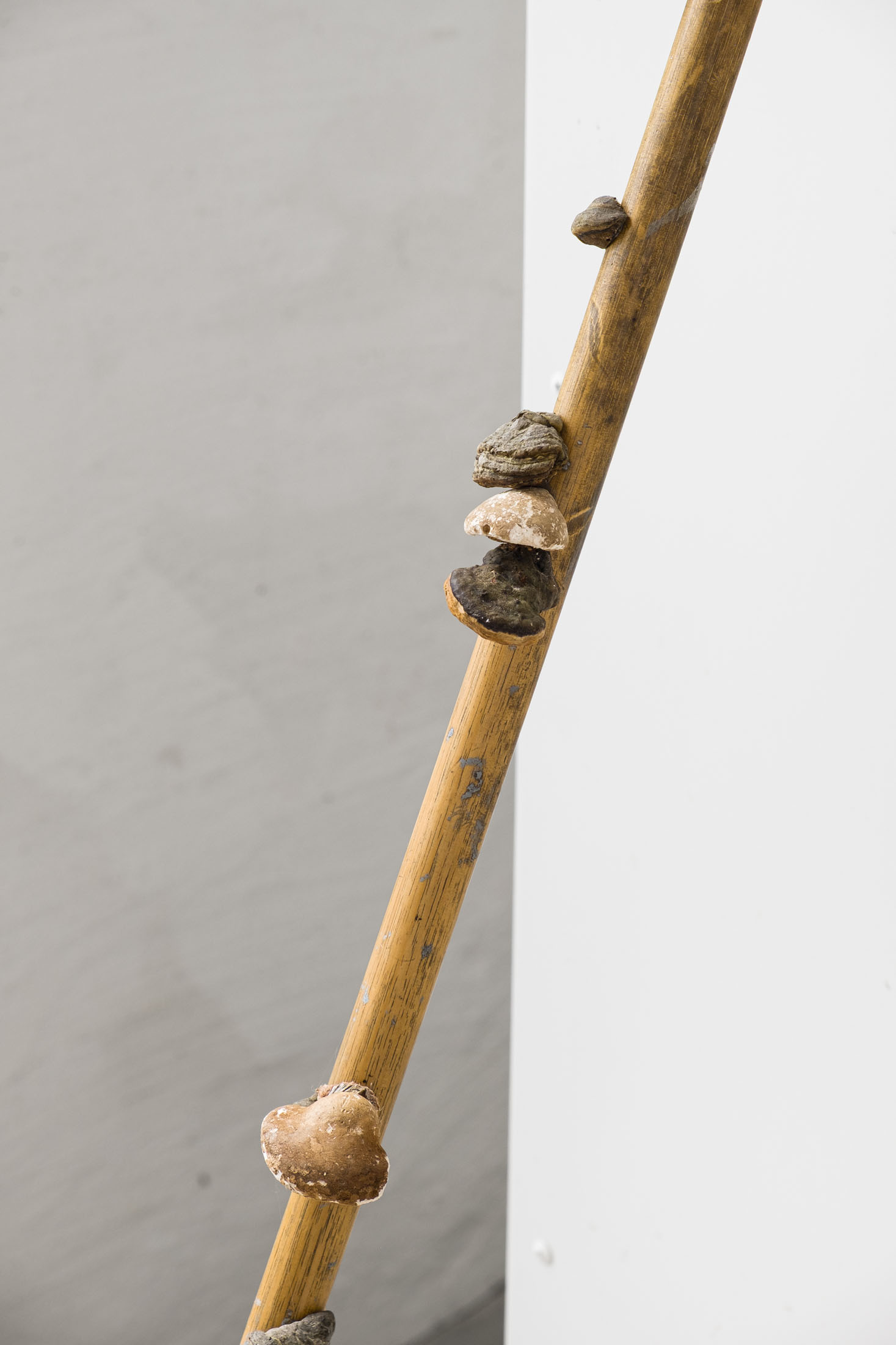 Olof Marsja at Konsthall Trollhättan