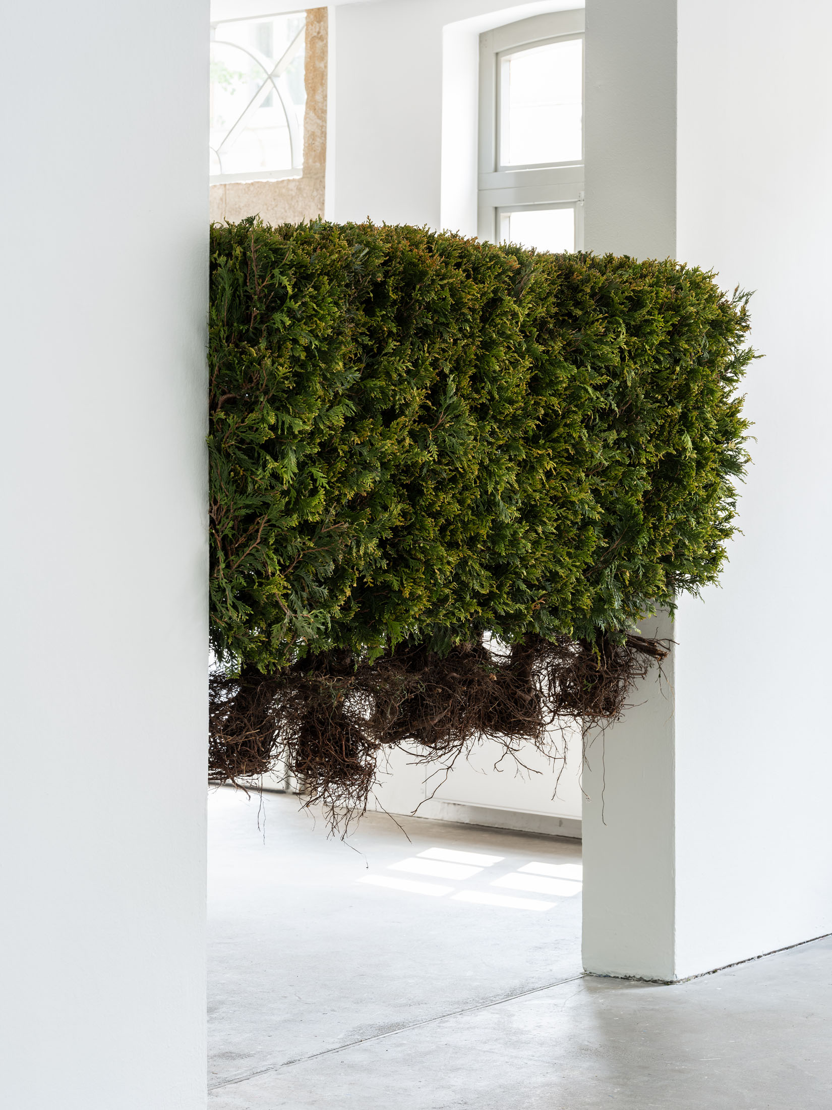 Exhibition at Kunstverein Grafschaft Bentheim