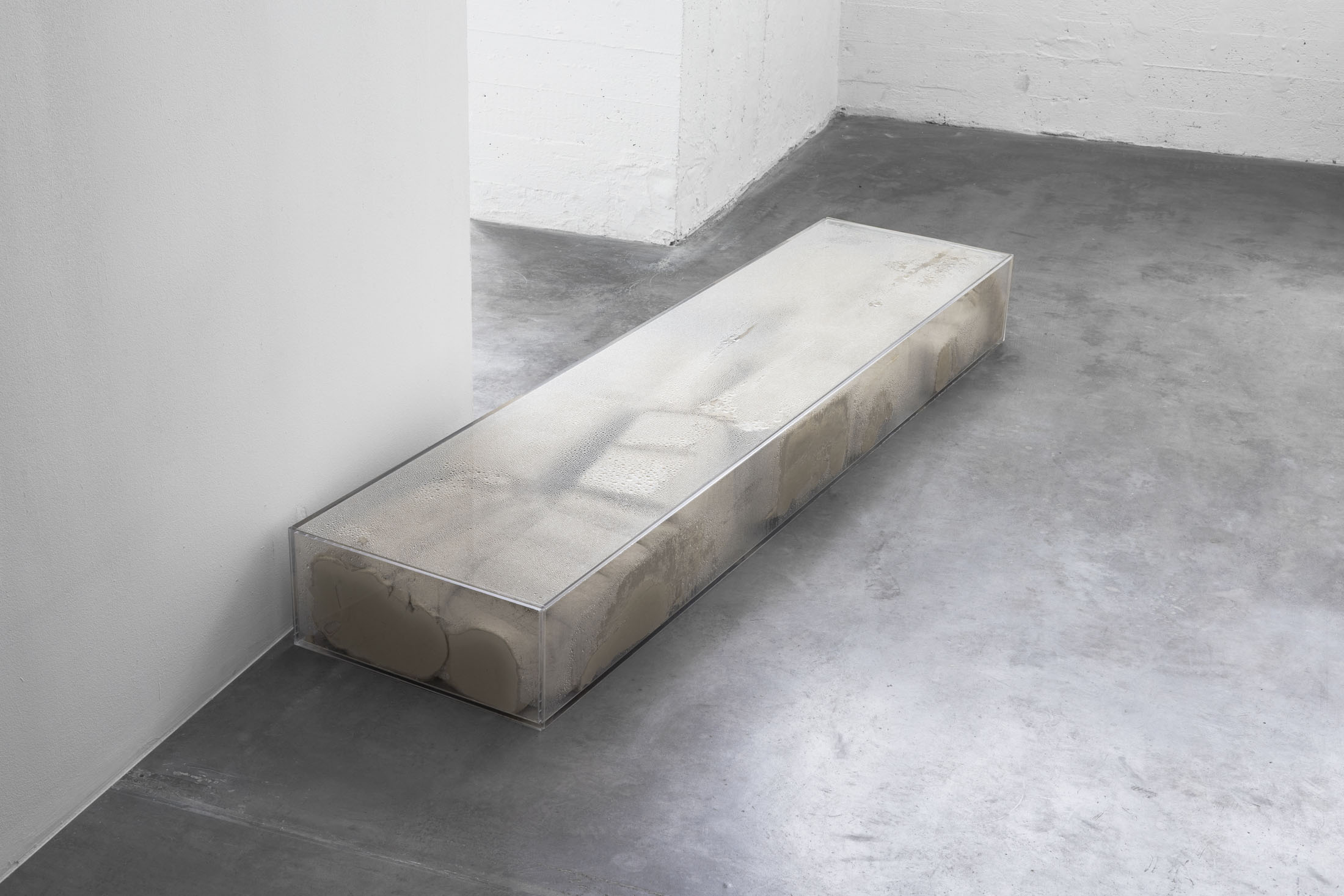 Call me gravity at WIELS, Contemporary Art Centre, Brussels