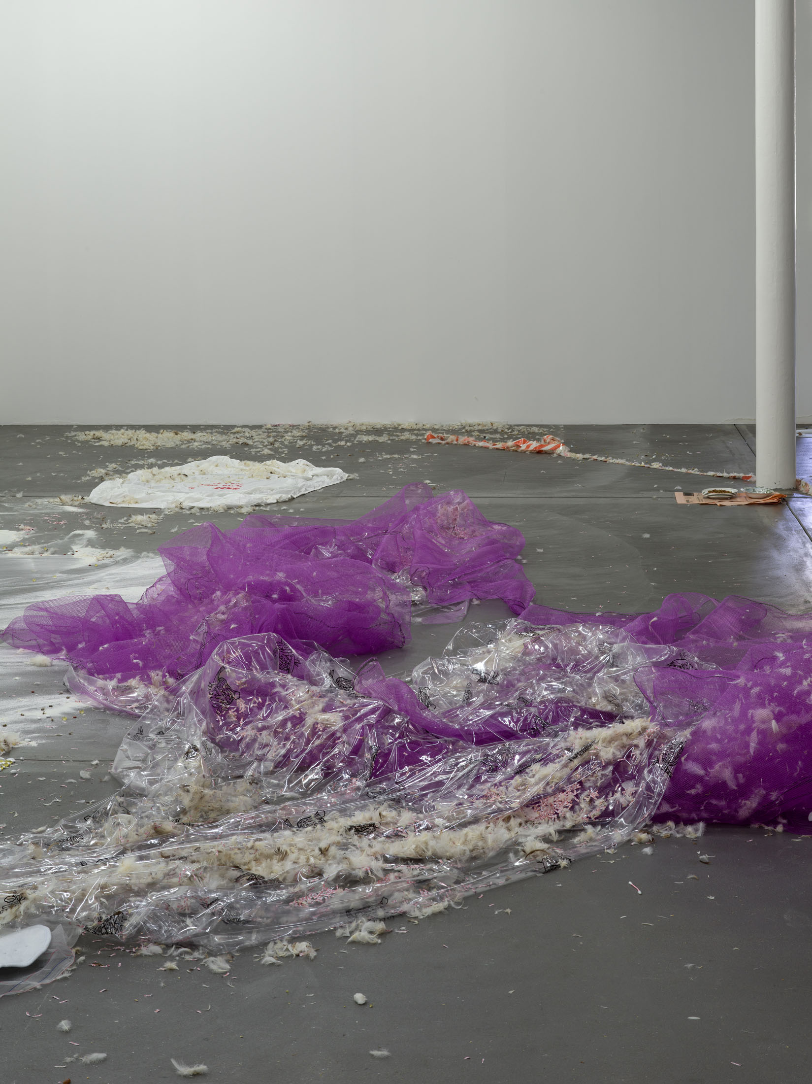 Jason Dodge at Kunsthalle Friart Fribourg
