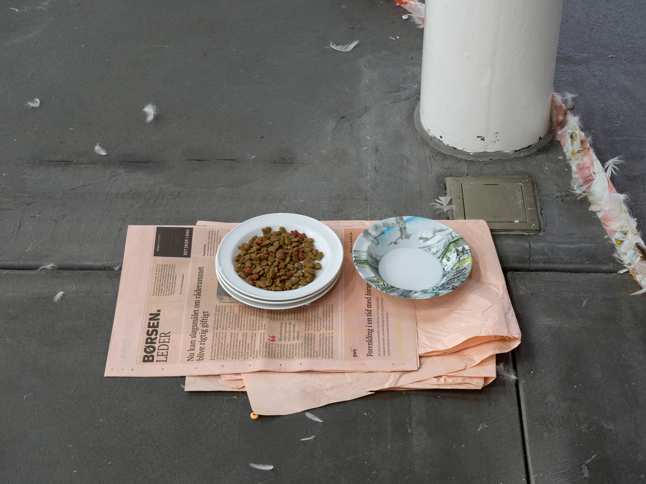 Jason Dodge at Kunsthalle Friart Fribourg