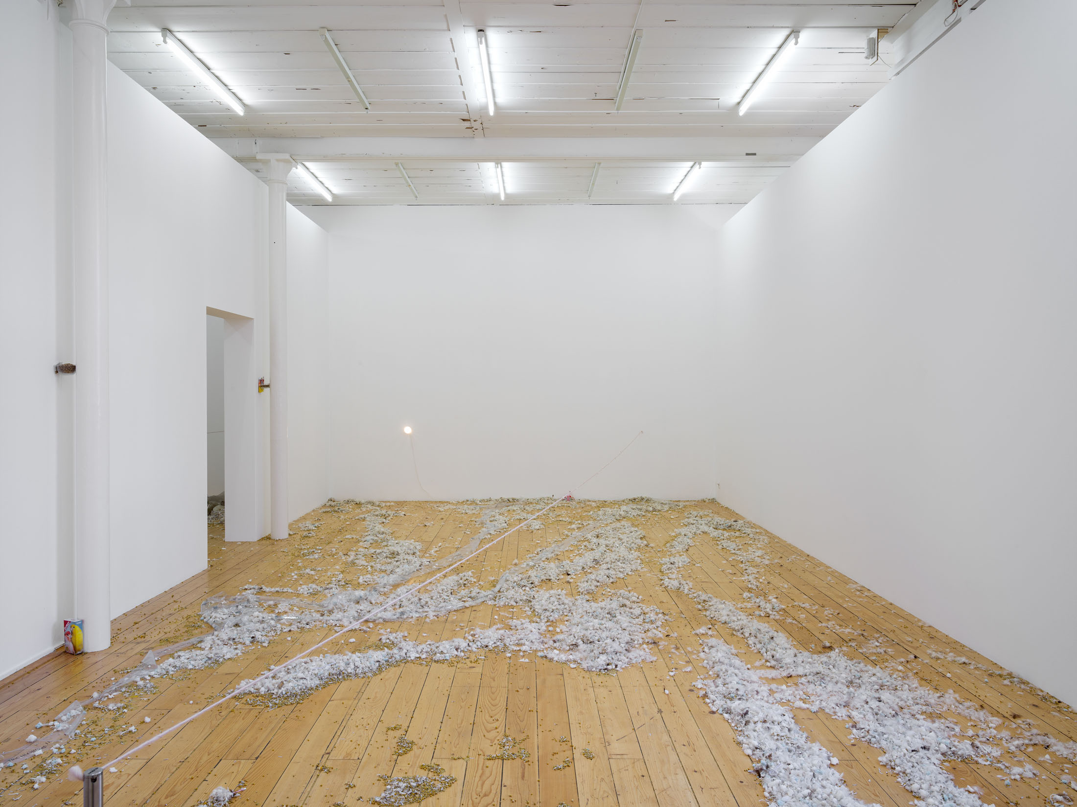 Jason Dodge at Kunsthalle Friart Fribourg