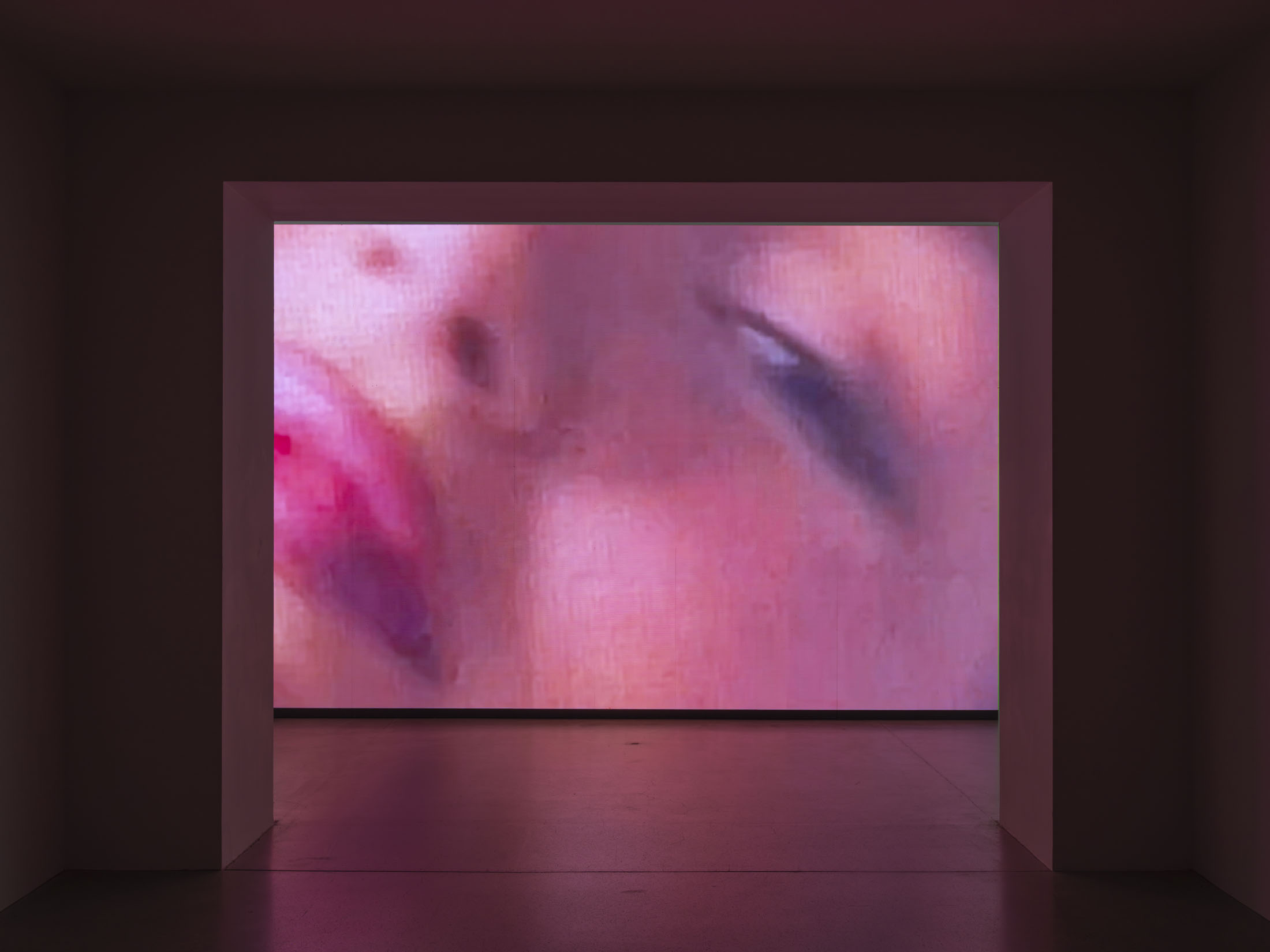 Mimosa Echard at Kunsthaus Biel : Centre d’art Bienne