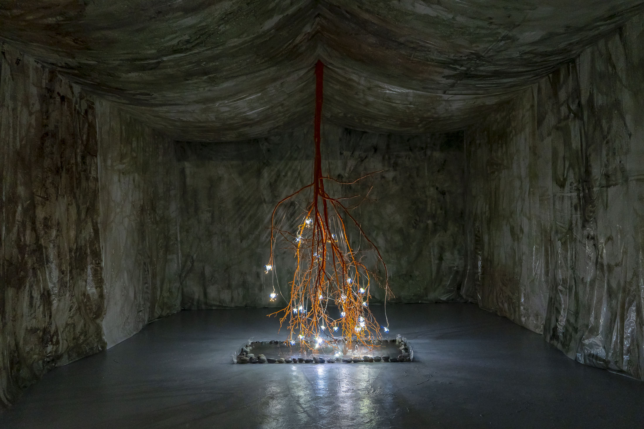 Paulina Mellado at MAC, Santiago