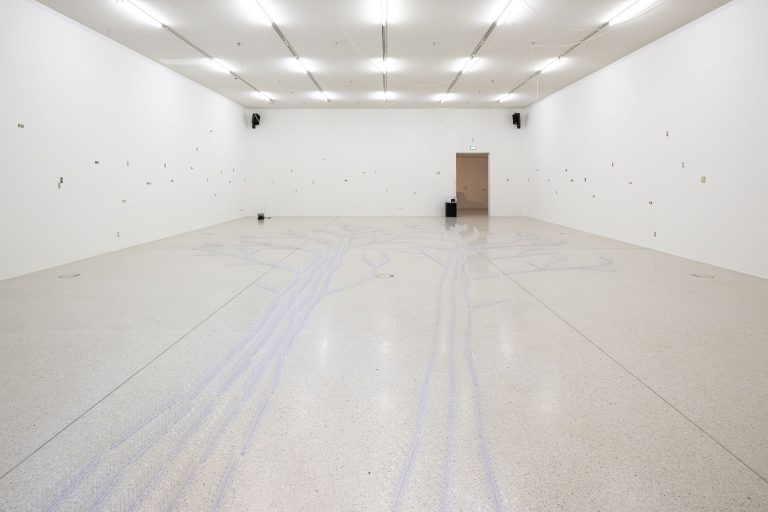 Steffani Jemison at Westfälischer Kunstverein, Münster