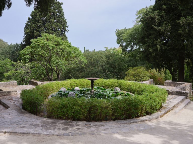 Xolo Cuintle at Jardin des Plantes, Montpellier
