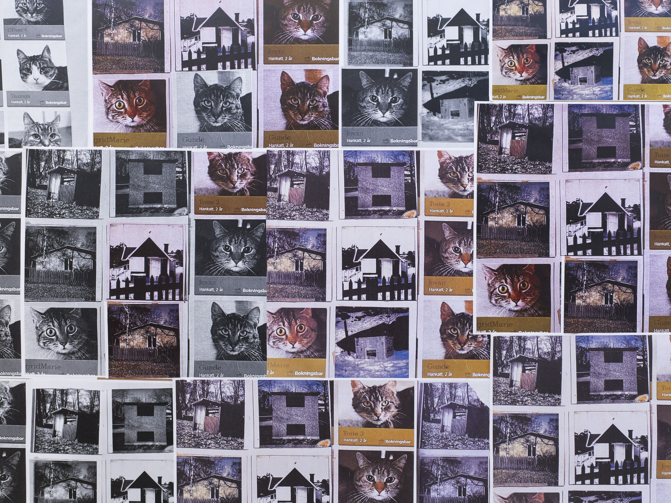 Annika Eriksson at Kunstverein München