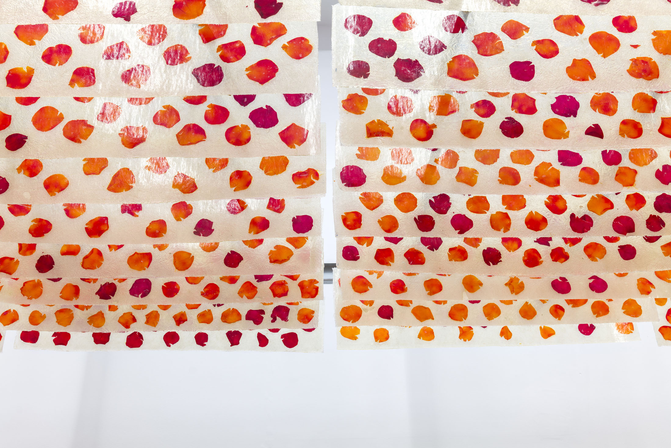 David Bestué at Galería Ehrhardt Flórez, Madrid