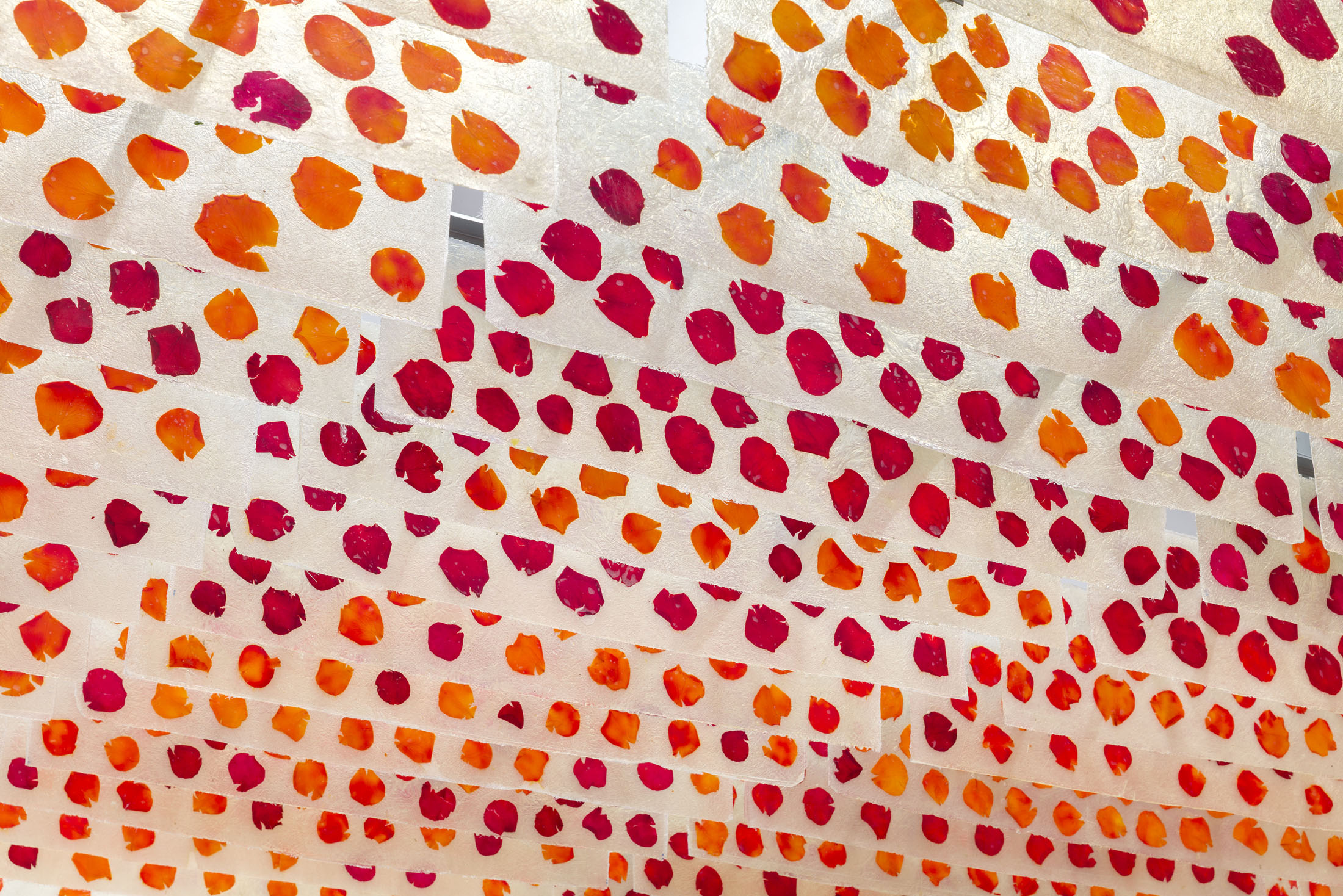 David Bestué at Galería Ehrhardt Flórez, Madrid