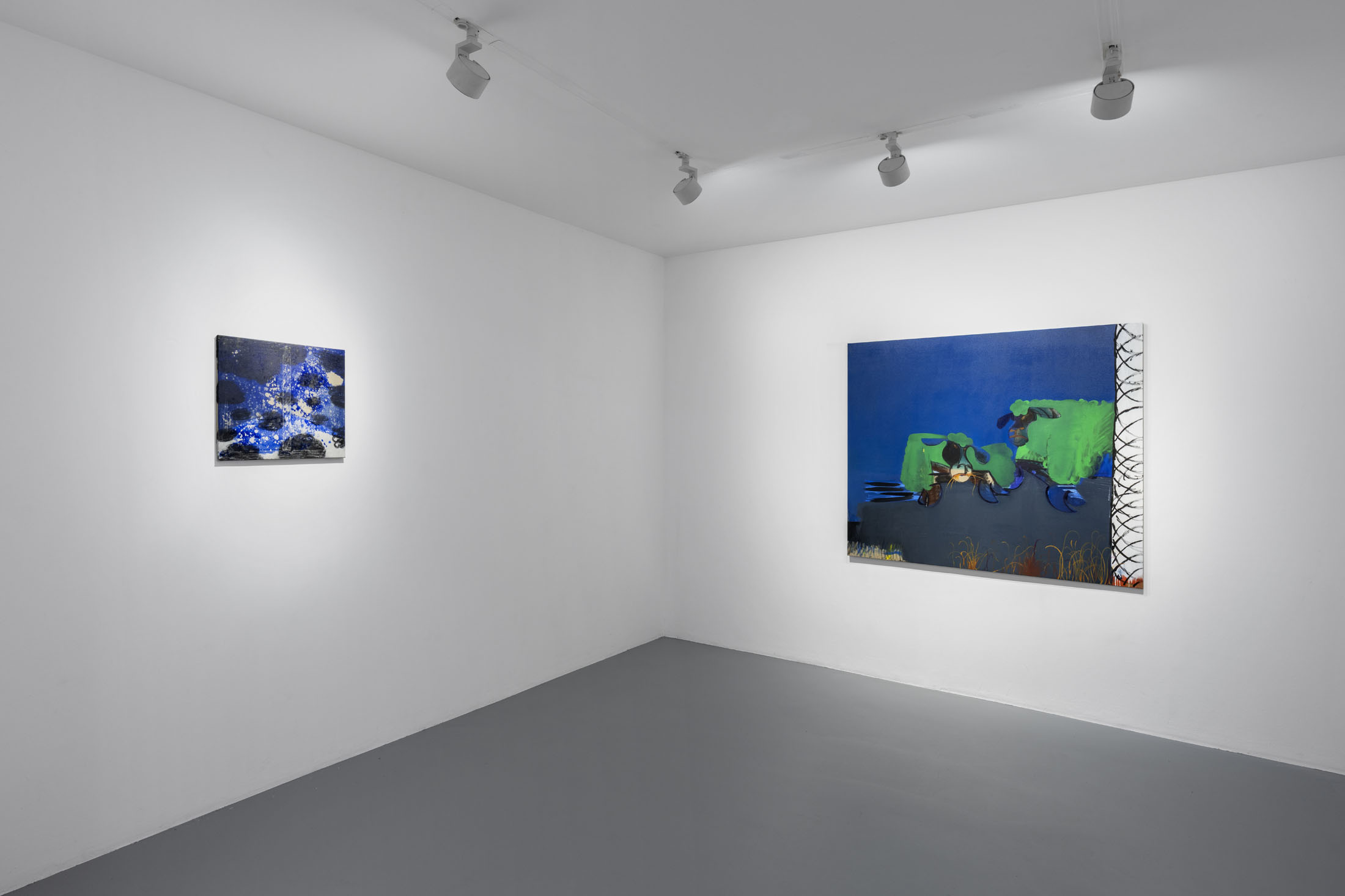 Hugo Ruyant at Michel Rein, Paris