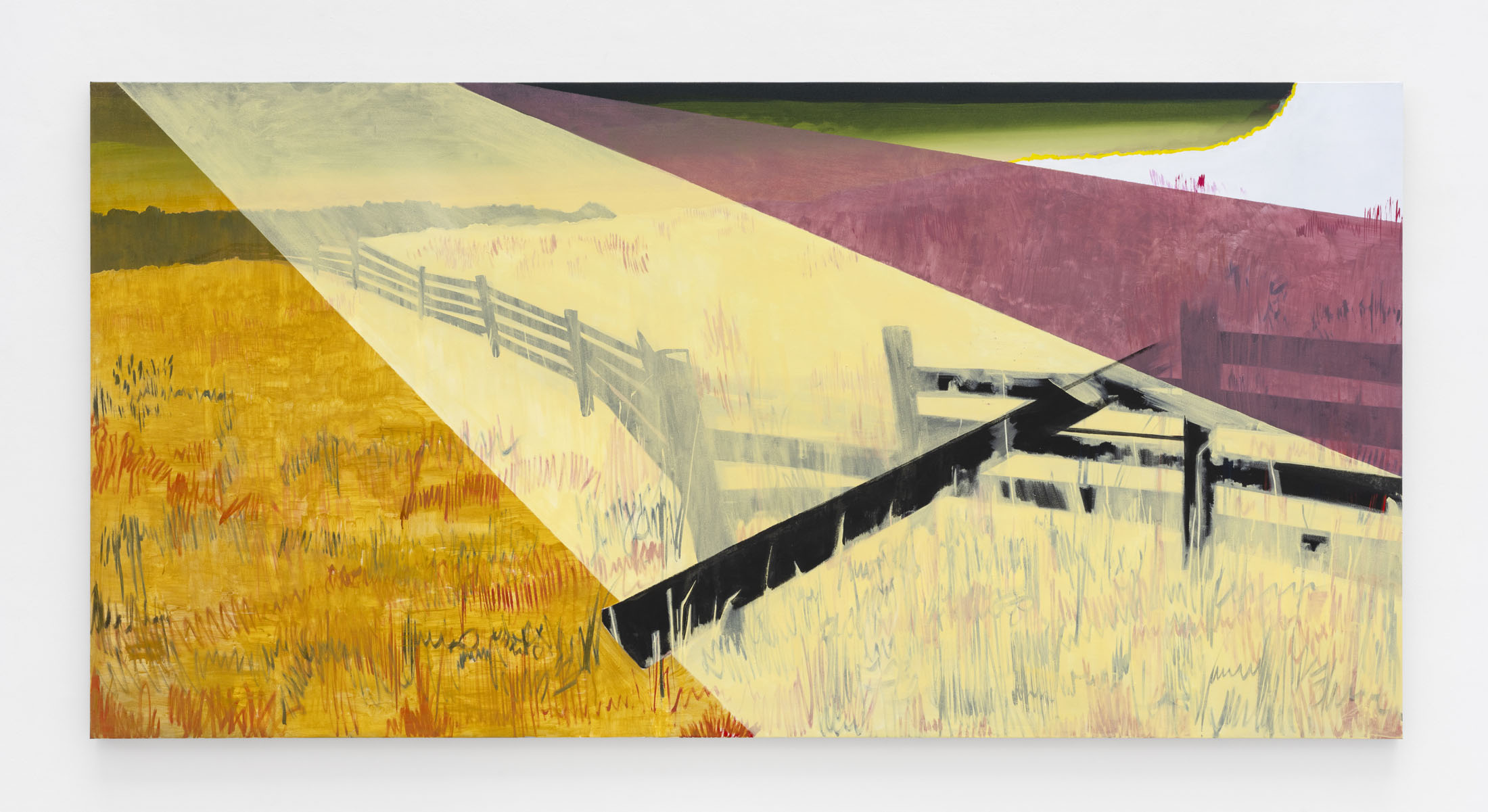 Hugo Ruyant at Michel Rein, Paris artwork