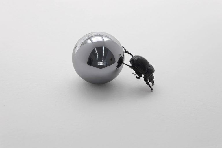 Nicolás Lamas at Meessen Gallery, Brussels