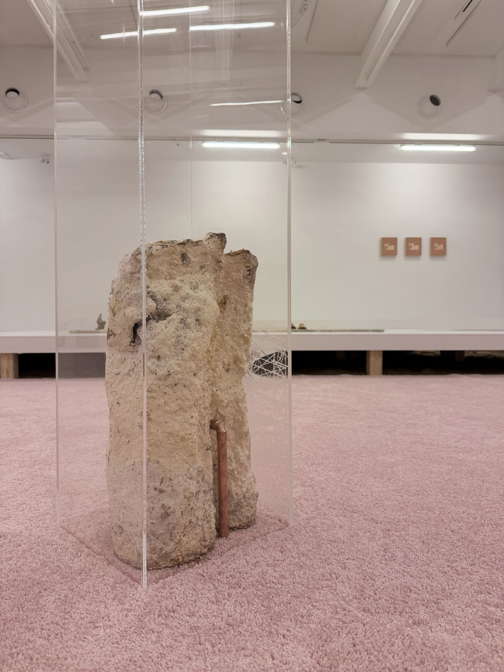 Patrick Berube at Joliette Art Museum