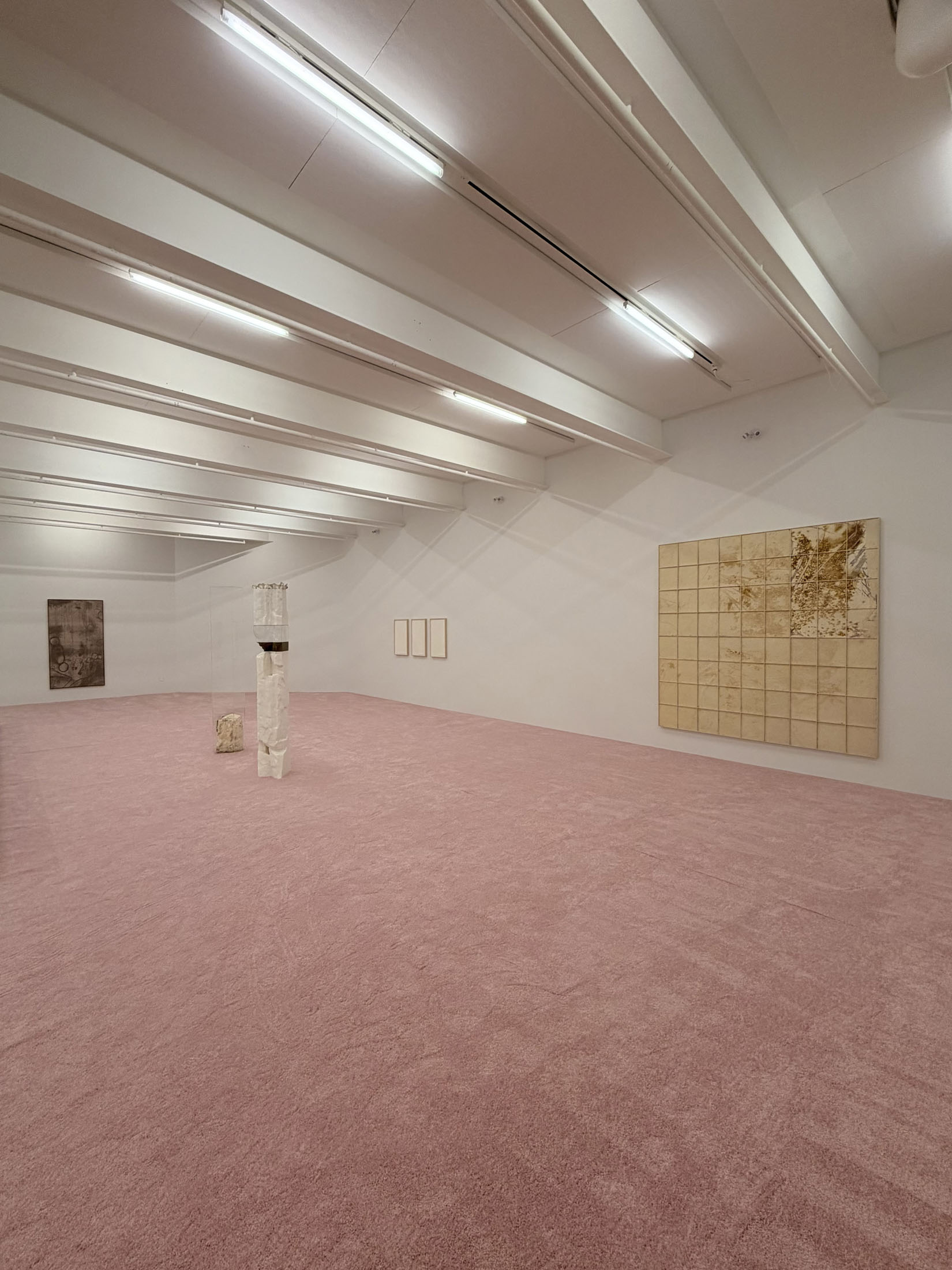 Patrick Berube at Joliette Art Museum