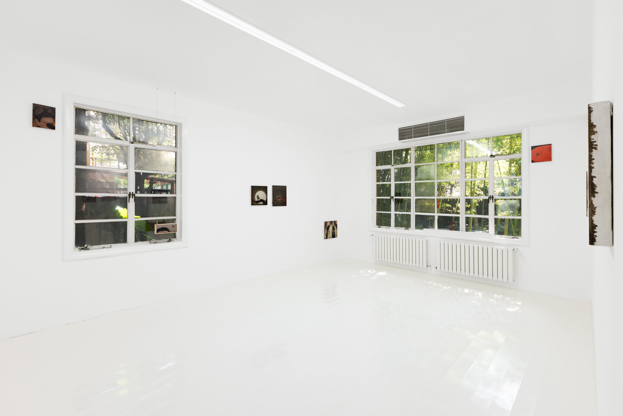 Ding Zhi at Capsule Shanghai