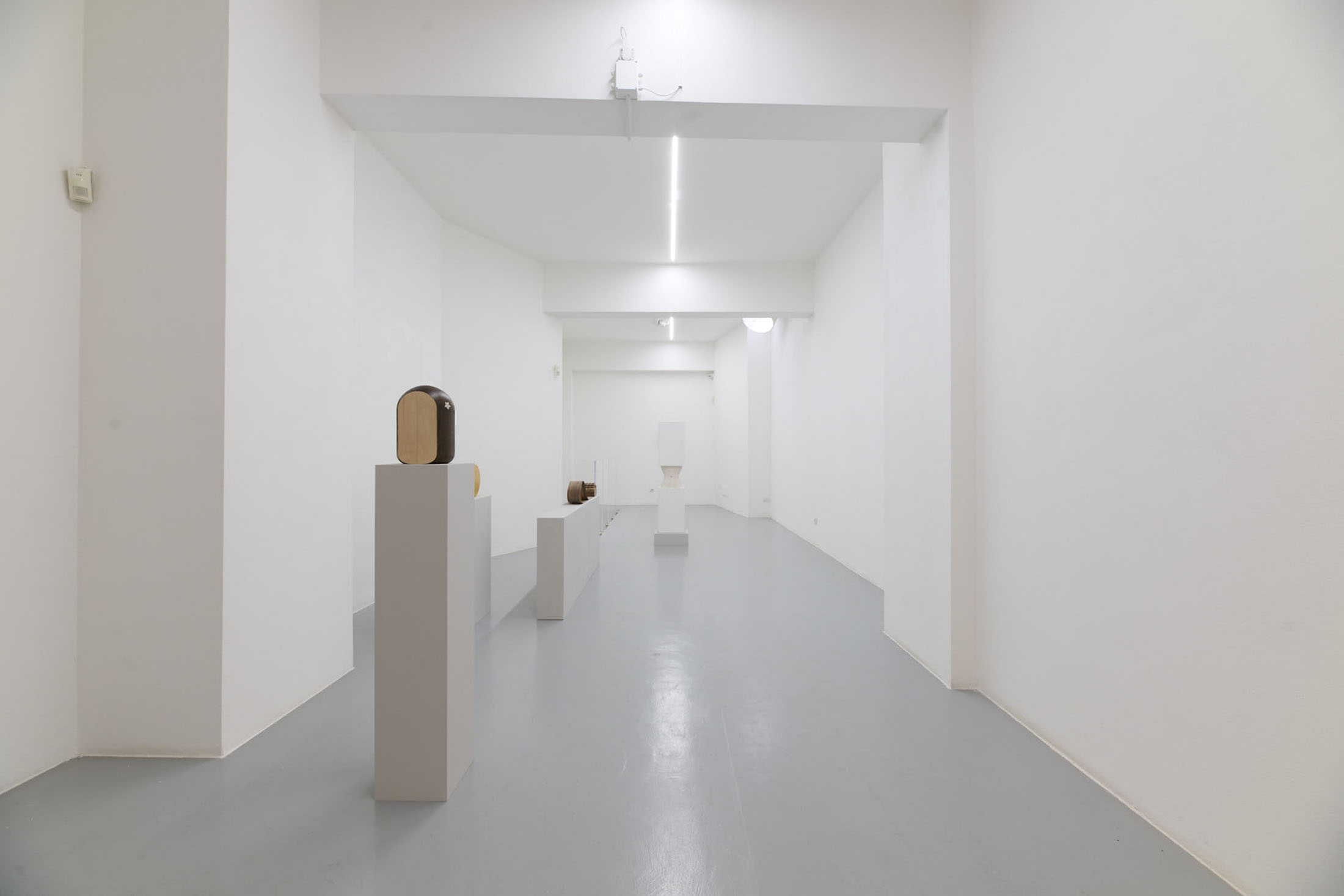 Federico Cantale at Triangolo, Cremona