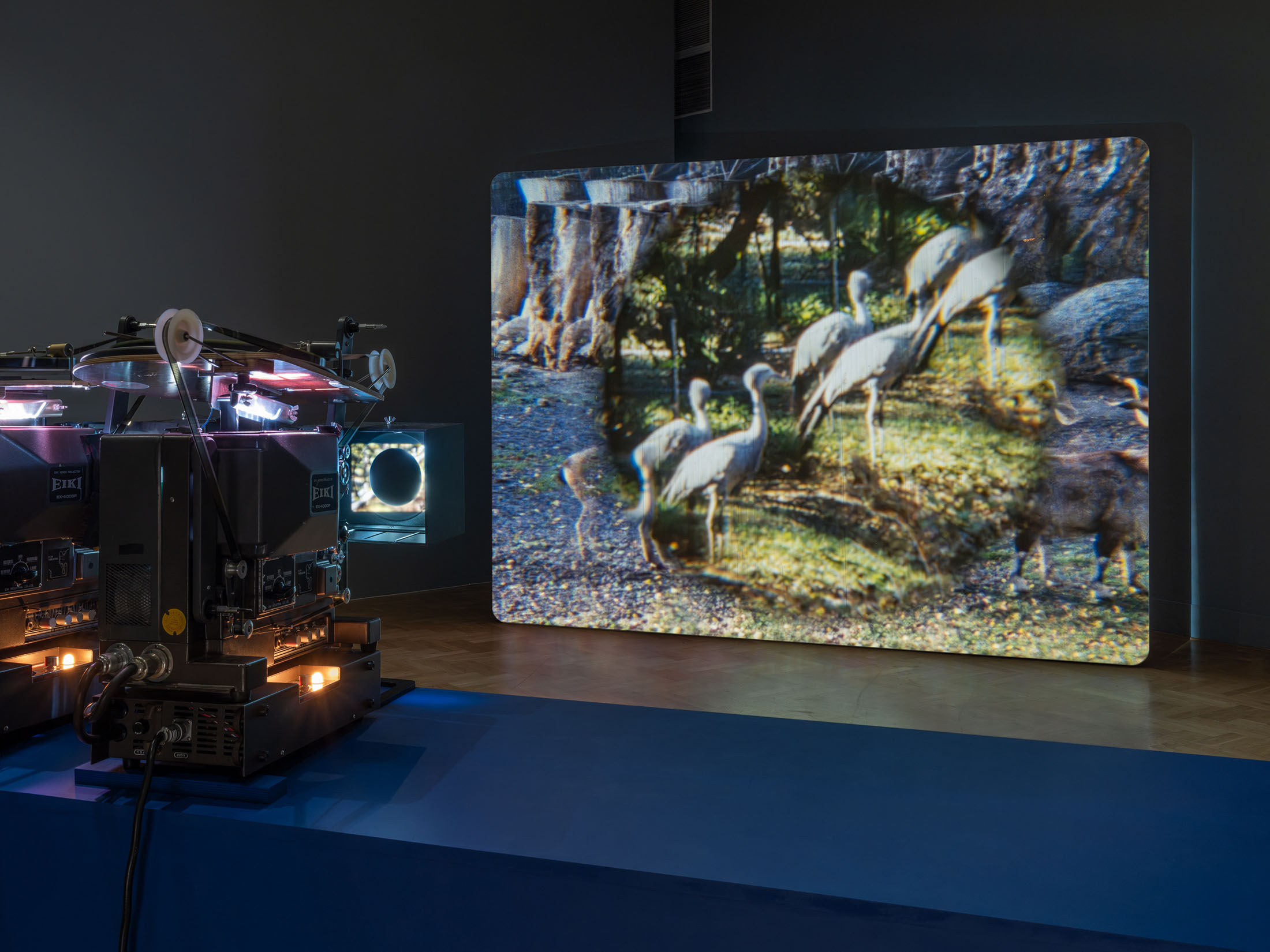 João Maria Gusmão at Zachęta — National Gallery of Art, Warsaw