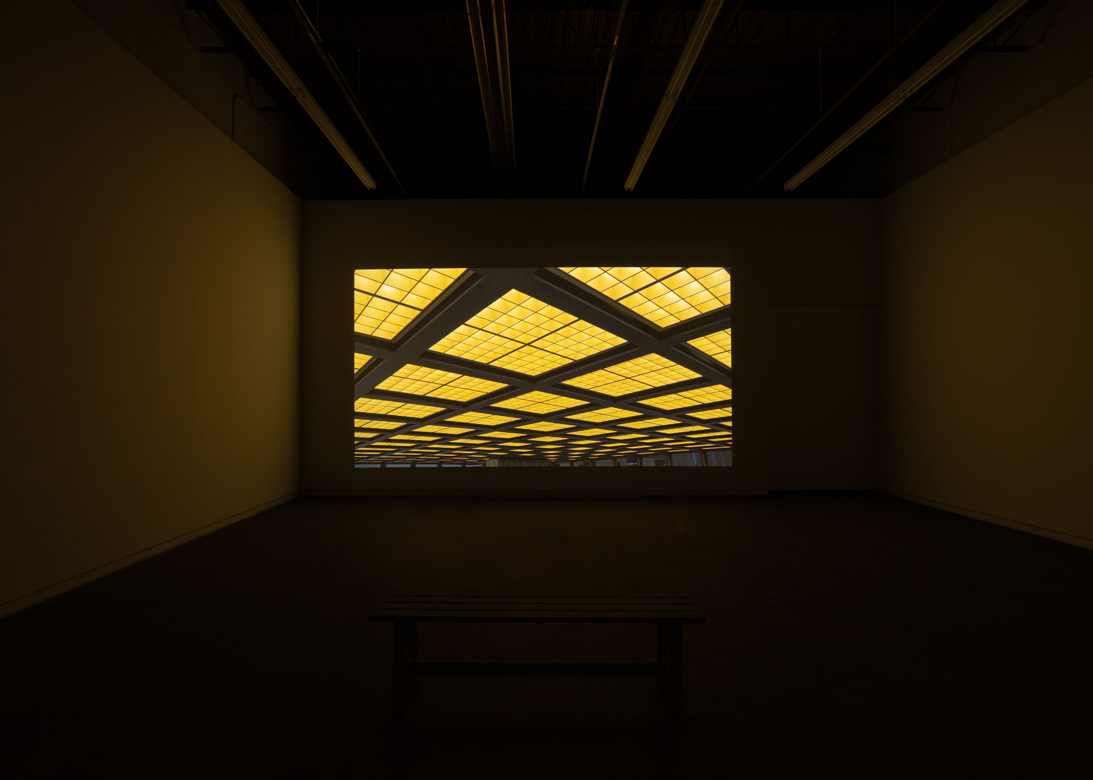 Mark Lewis at Daniel Faria Gallery, Toronto