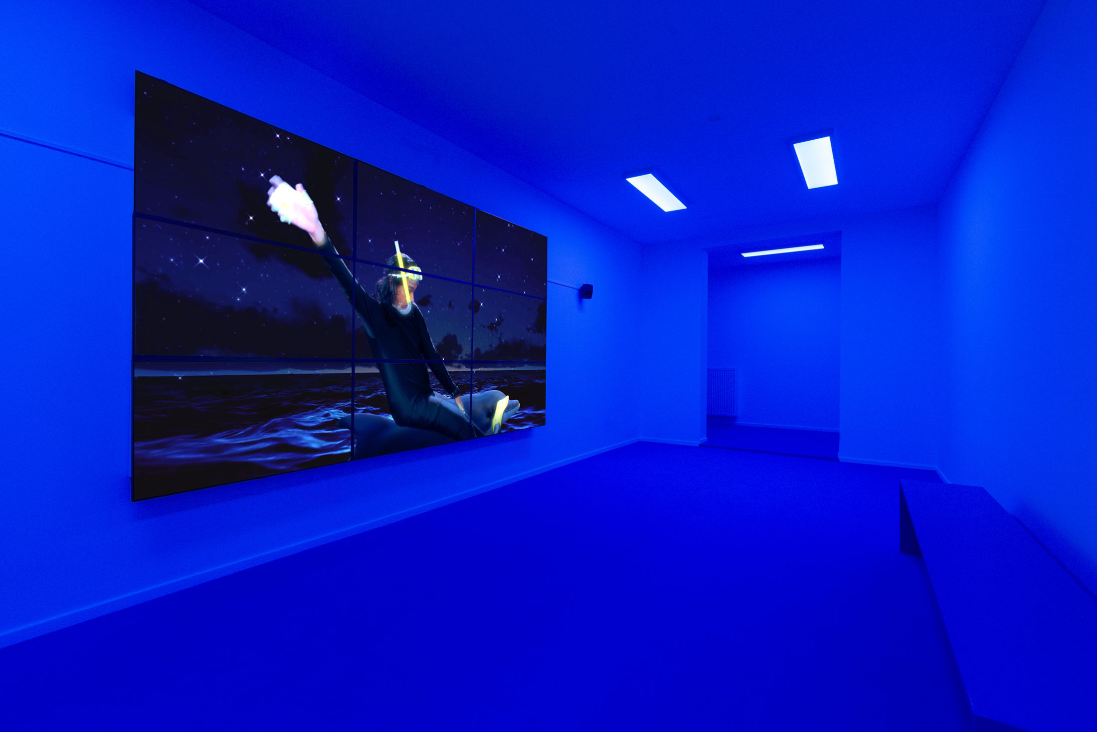 Natasha Tontey at 1646, The Hague