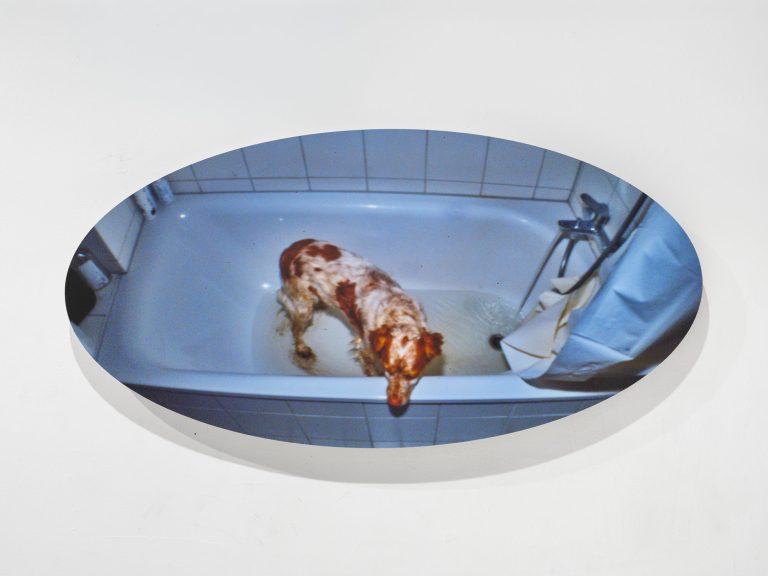 No Losers at Jenny’s and Galerie Tenko Presents, New York