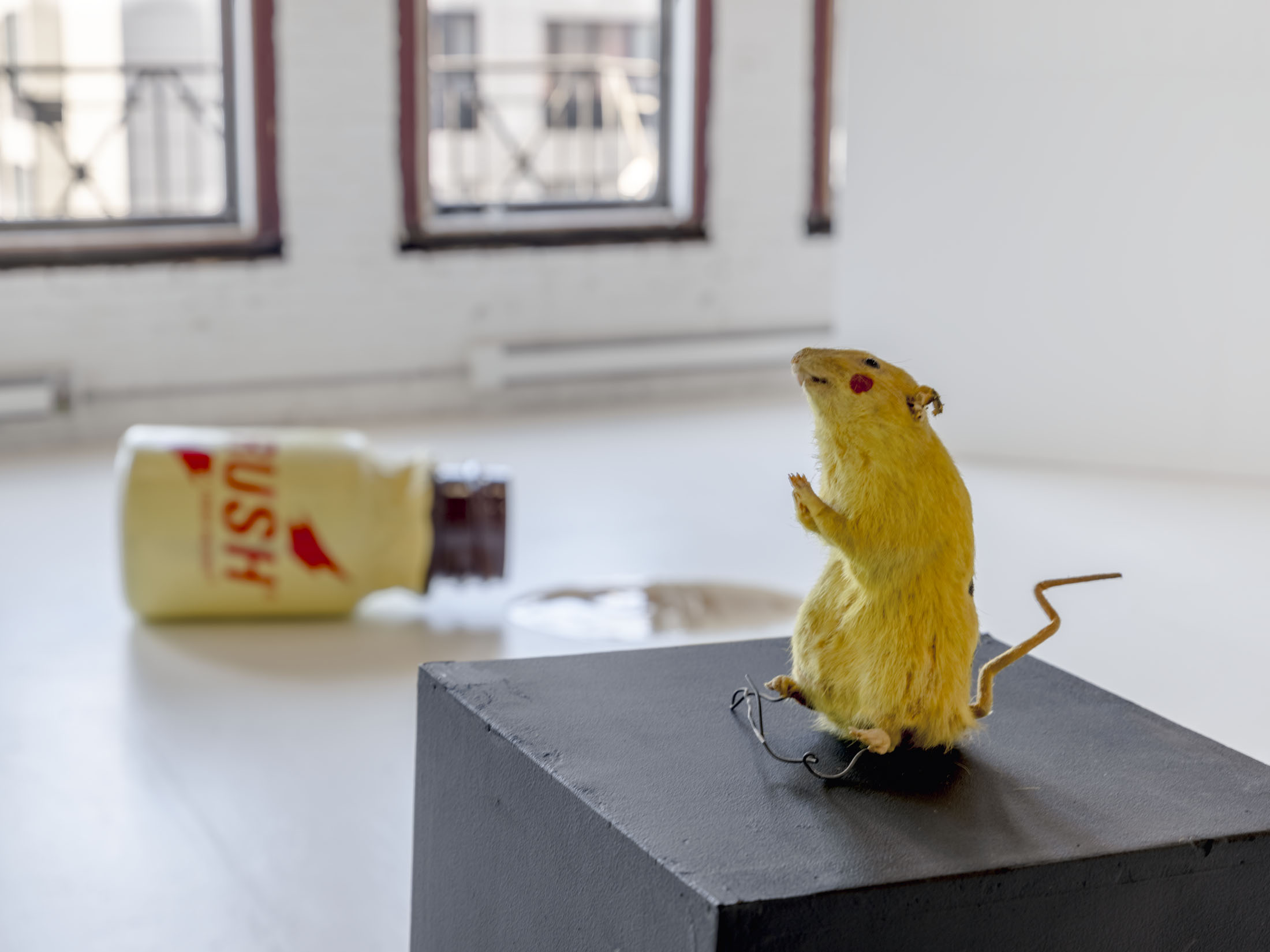 No Losers at Jenny’s and Galerie Tenko Presents, New York