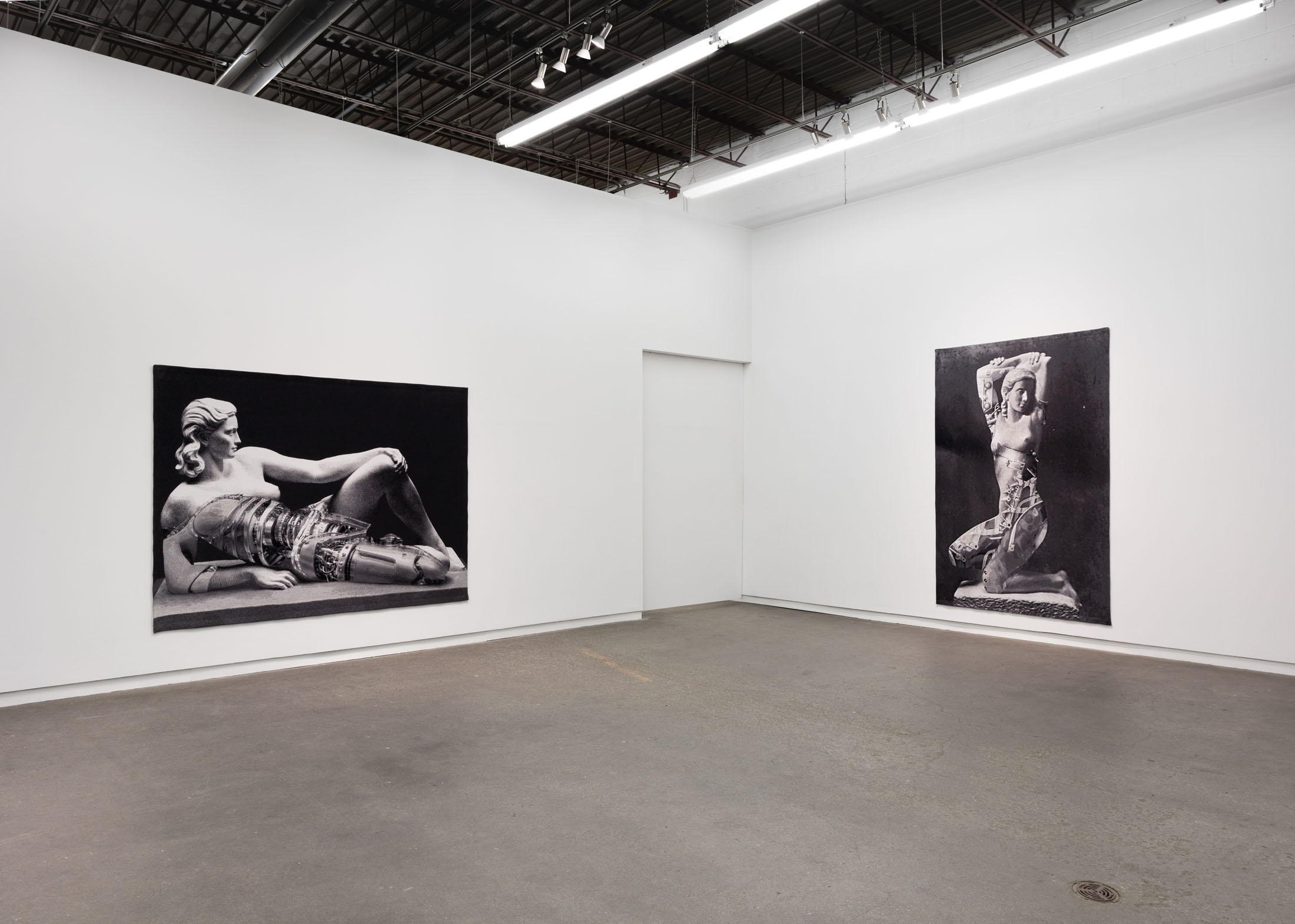 Shannon Bool at Daniel Faria Gallery, Toronto