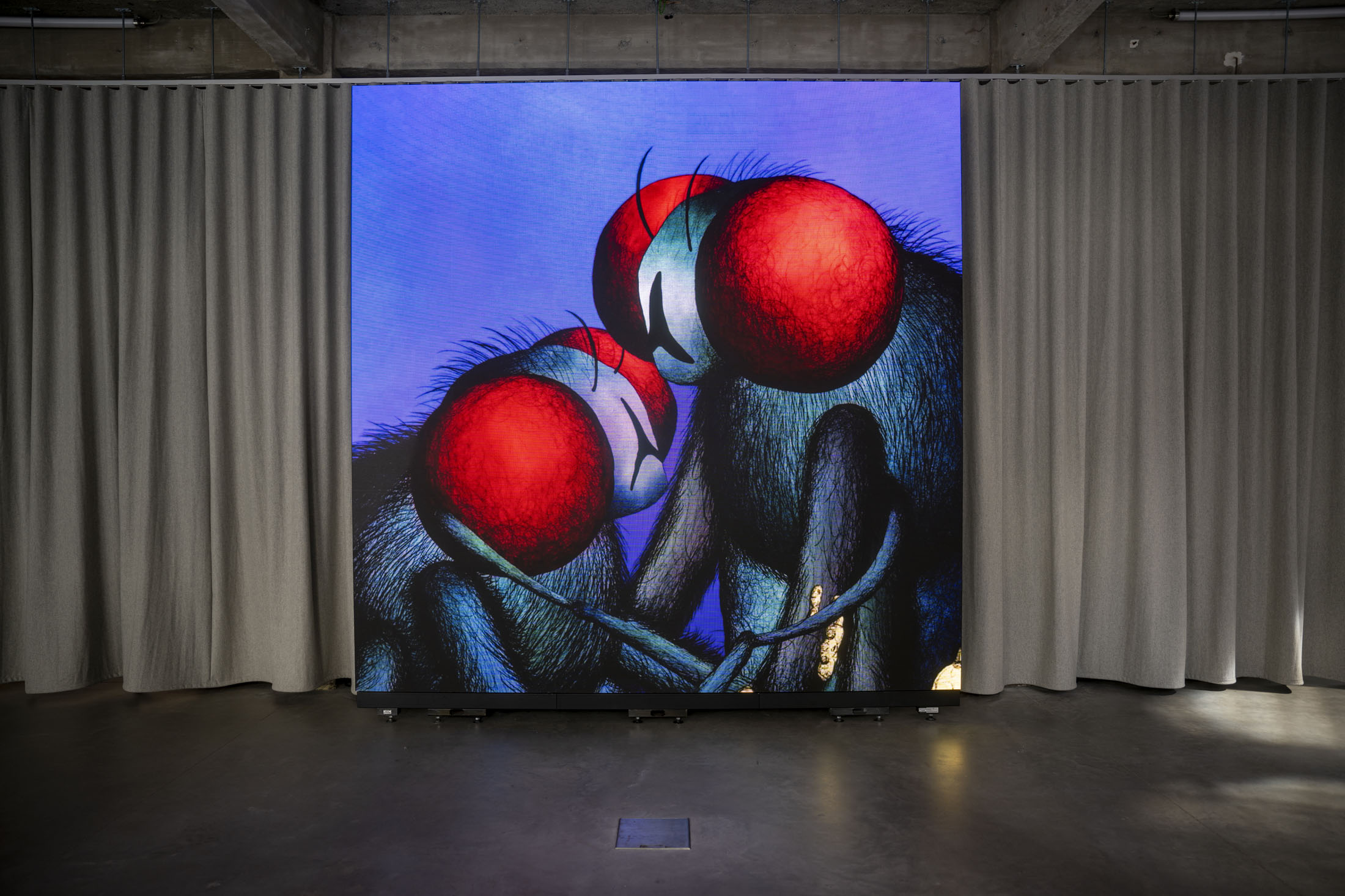 The Eyes of the Heart and the Soul of the World at Contour Biennale 11, Mechelen